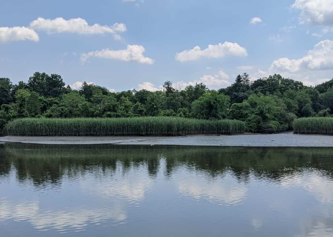 Things To Do, Visit The Hackensack River County Park in Hackensack, New Jersey