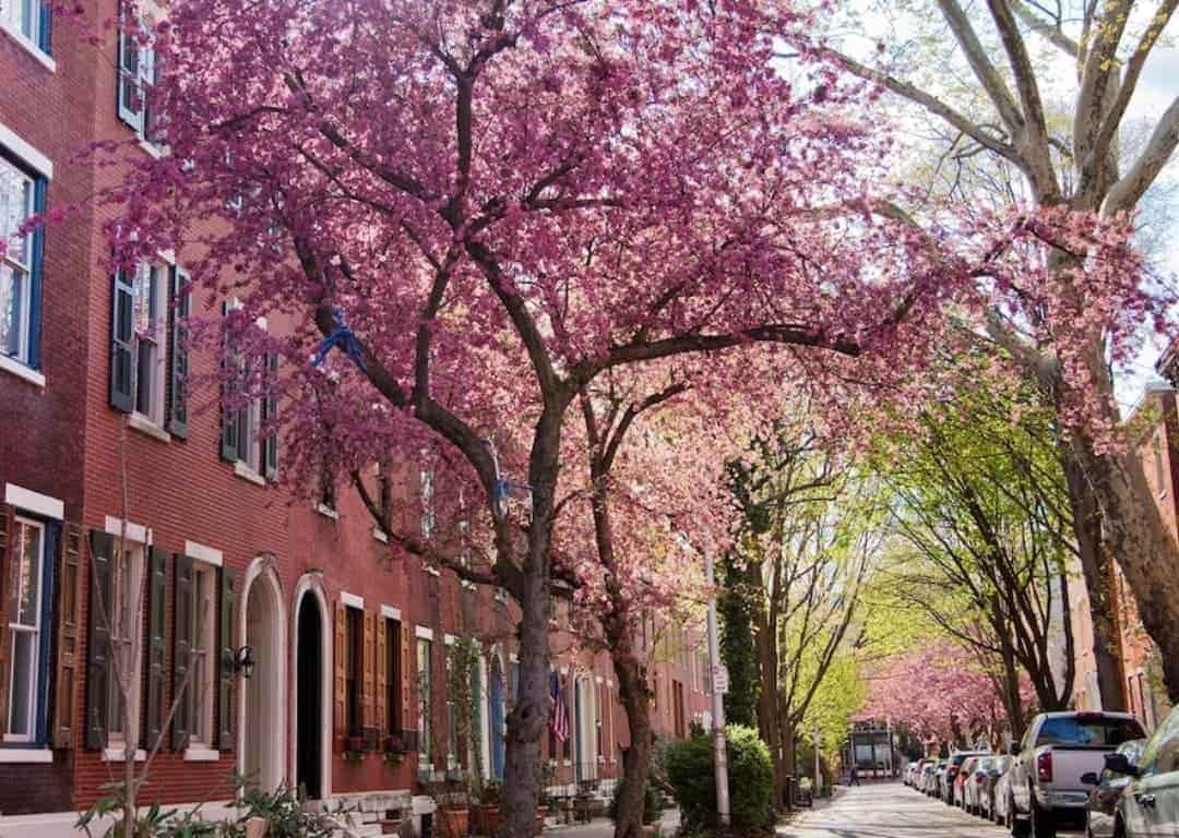 Best Places To Live, Fairmount in Hackensack, New Jersey